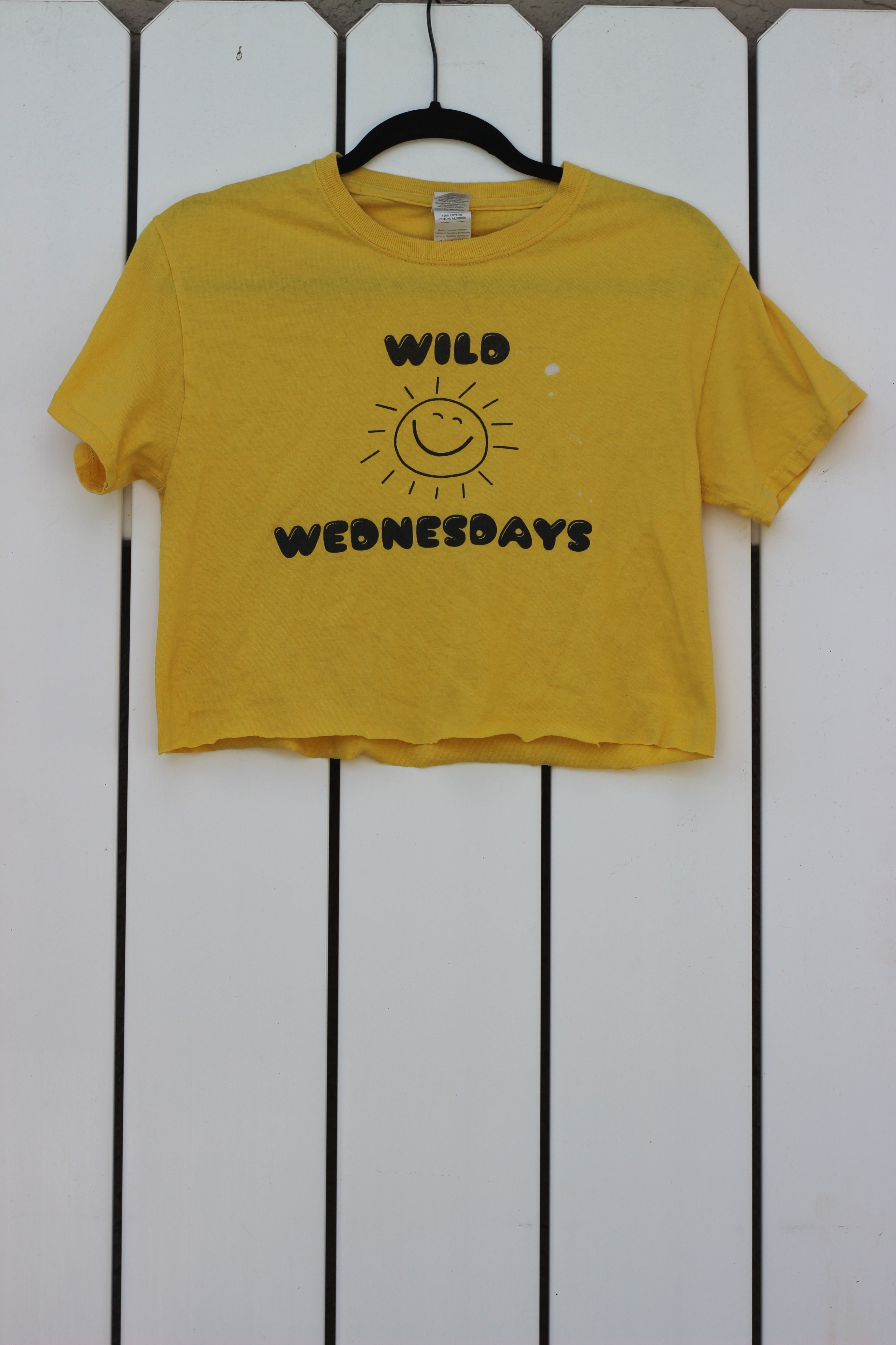Wild Wednesdays Vintage Summer Crop Top Tee (S)