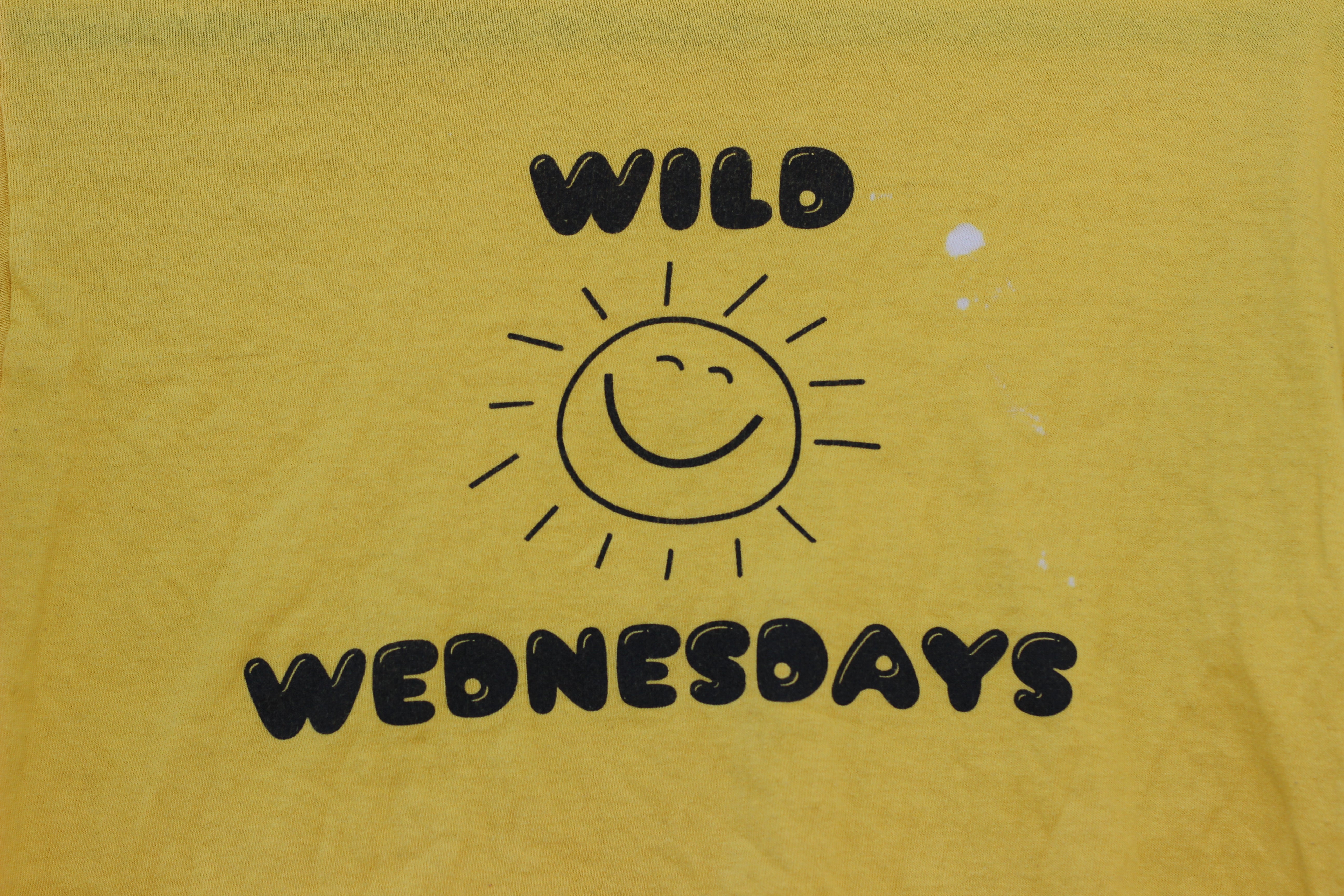 Wild Wednesdays Vintage Summer Crop Top Tee (S)