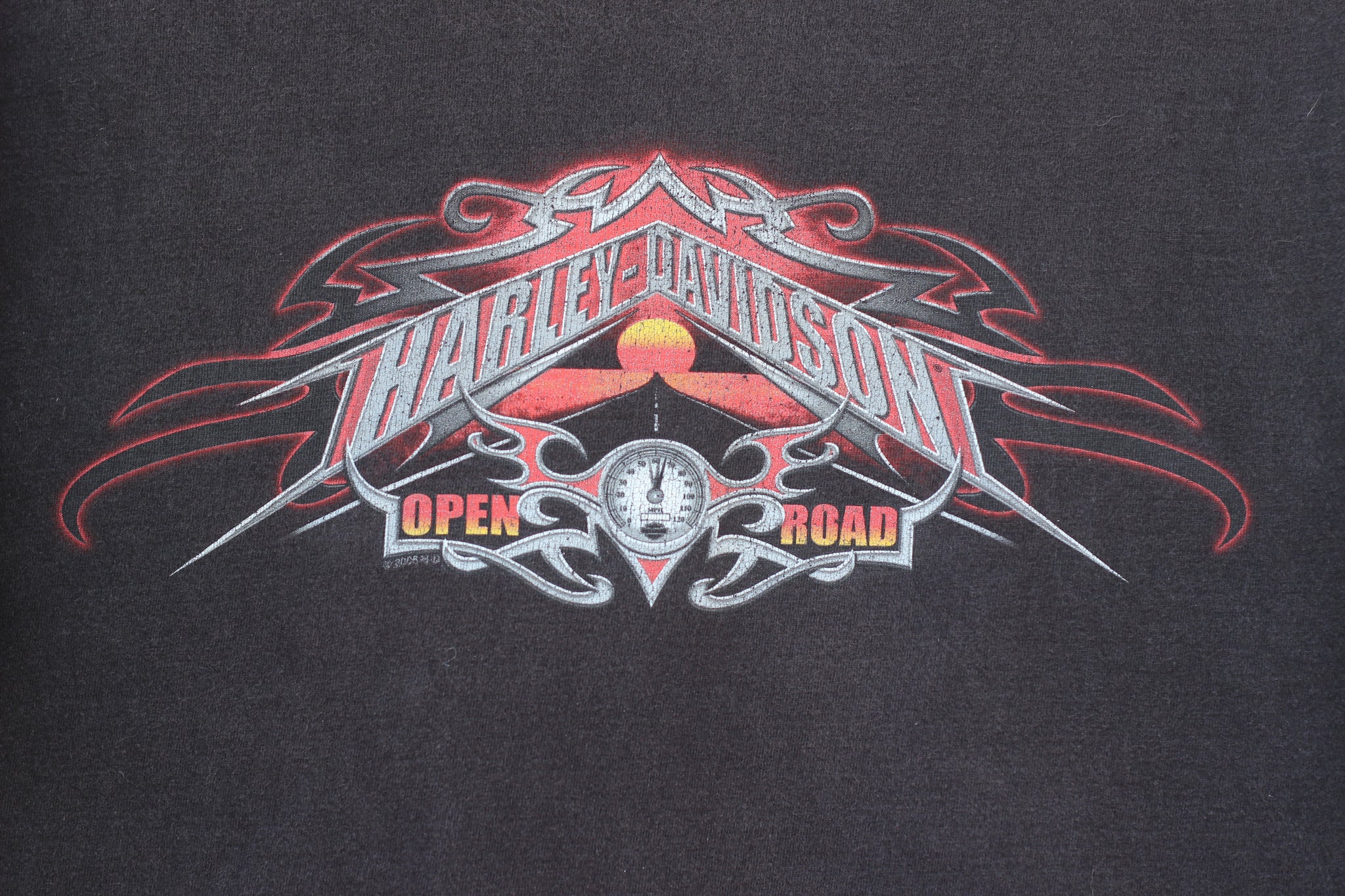 Harley Davidson New York City Open Road Tee (L/XL)
